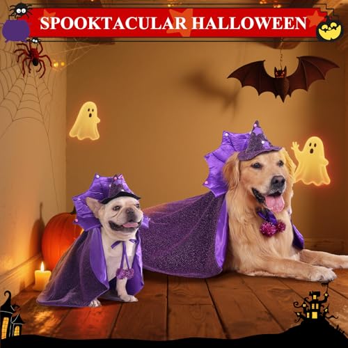 Disfraz de Bruja para Perro Pequeño Halloween Talla S miniatura 2