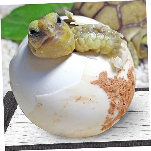Almohadillas térmicas para terrarios de reptiles Toddmomy 4 piezas miniatura 4