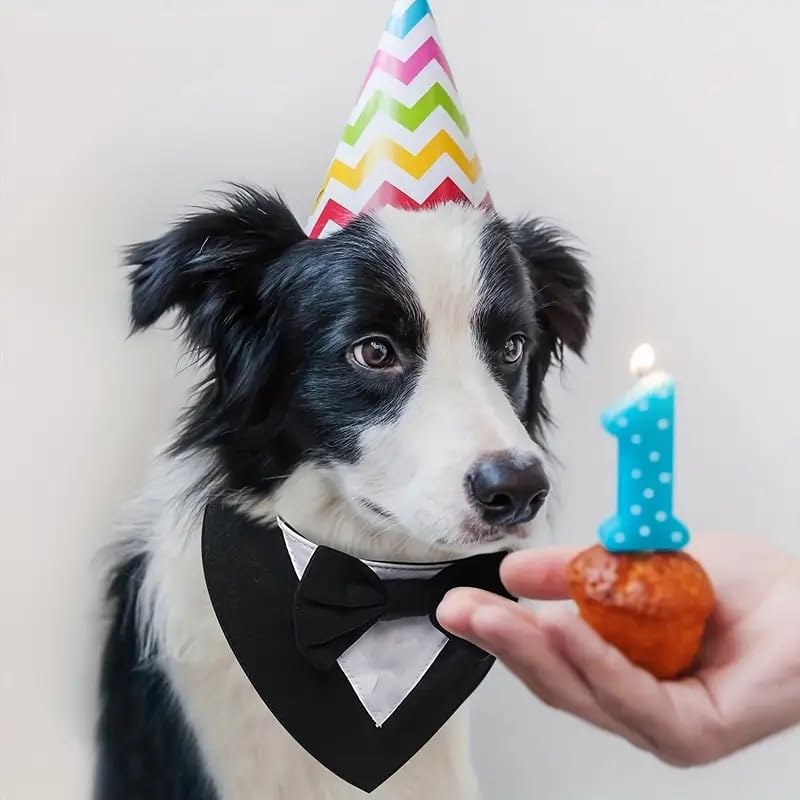 Smoking-Halstuch für Hunde – Eleganter Hundekragen für Hochzeit, Geburtstag & Fotoshooting – Verstellbarer Haustier-Schal im Anzugstil – Festliches Hundeaccessoire (Smoking Schwarz/Weiß, M)