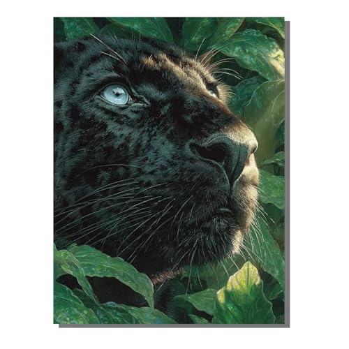 G  yCgoCio[ qE DIY Paint by Numbers LbghG h G fW^G (t[X) uVƃANG̋ l̂߂̃NGCeBuȎ H| z[  ItBX Mtg 3