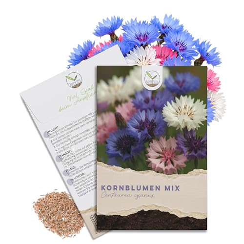 Kornblumen Samen (Centaurea cyanus) - Wunderschön leuchtende Blumen mit langer Blütezeit für eine bunte Blumenwiese (Mix 1000 Korn 80 cm)