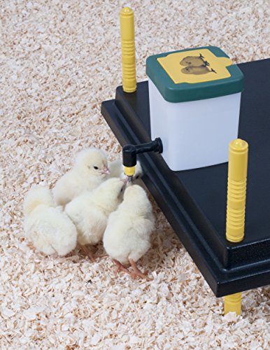 Abreuvoir pour poussin 0,5 l