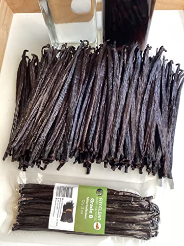 Image of 2oz Vanilla Beans Grade B Tahitiensis for extract, Cooking and Baking by FITNCLEAN VANILLA| Fresh 5 inch-7 inch NON-GMO Natural Raw Whole Pods