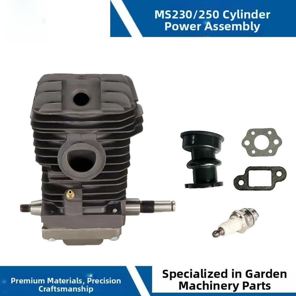 Assembly per cilindro per acciaio per MS250 con Collettore Assembly