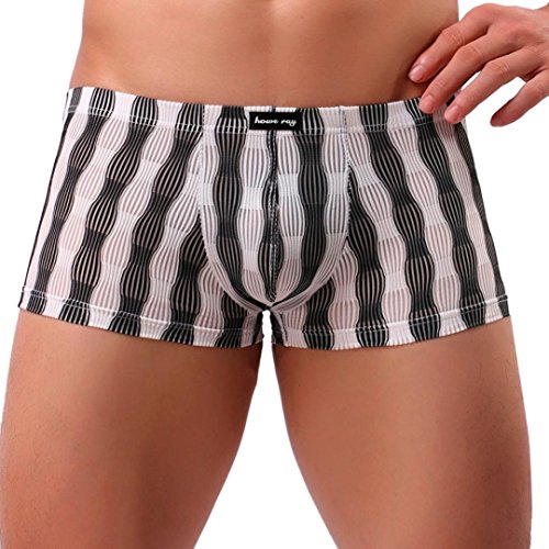 Calzoncillos Hombre, Pantalones Cortos Hombres Ropa Interior Sexy Calzoncillos de Noche cómoda Transpirable Braguitas Briefs Lencería Boxers Bragas Boxeador niño Tangas (L, Negro)