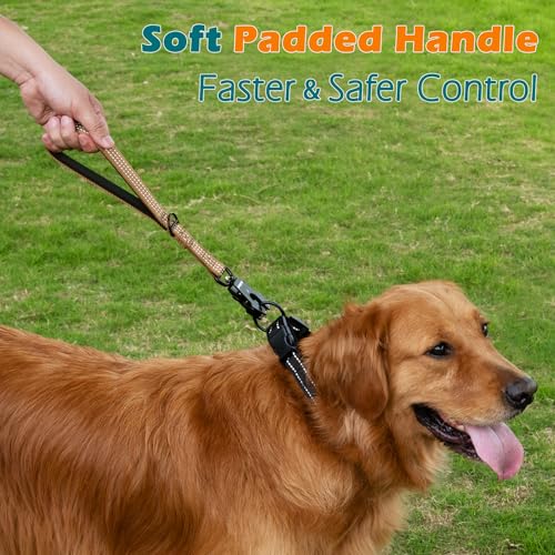 PetBonus Robuste Kurze Hundeleine 30cm, Nylon Kurzführer mit Schnellverschluss, gepolstertem Griff, Reflektierende Trainingsleine für große mittlere Hunde (Braun)