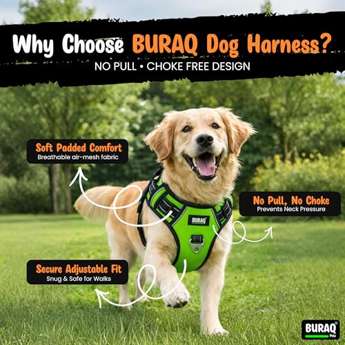 Image of Buraq Pets No Pull Dog Harness | Soft Padded for Small to Large Dogs