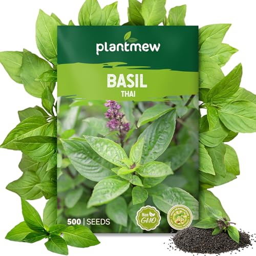 PLANTMEW Thai Basil Seeds for Planting - 500 Heirloom Seeds - Thai Basil Herb Seeds for Home Herb Garden Indoor & Outdoor Herb Gardening