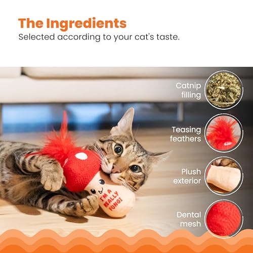Image of Catstages A Really Fungi Cat Kicker Toy with Catnip and Dental Mesh, Mushroom Shape, Plush and Feather Cat Toy for Kicking, Tossing, and Teeth Cleaning, Red