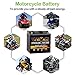 Weize YTX30L-BS Battery Replacement Yuasa YIX30L Motorcycle Battery - Factory Sealed - Maintenance Free - High Performance ETX30L BS For Harley Davidson Polaris Sportsman