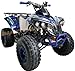 HHH 125cc ATV Quad Youth Utility Style ATV 125cc Fully Automatic Outlander ATV with Reverse Gas 4 Wheeler ATVs Quads Big 19/18 inch Tires (Blue)