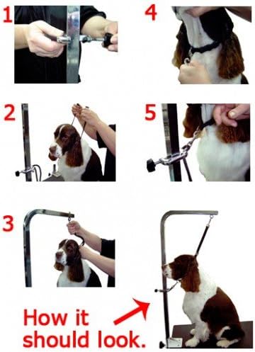 Miniatura 6 de Groomers Helper Juego profesional con abrazaderas laterales universales la mejor herramienta de aseo para perros