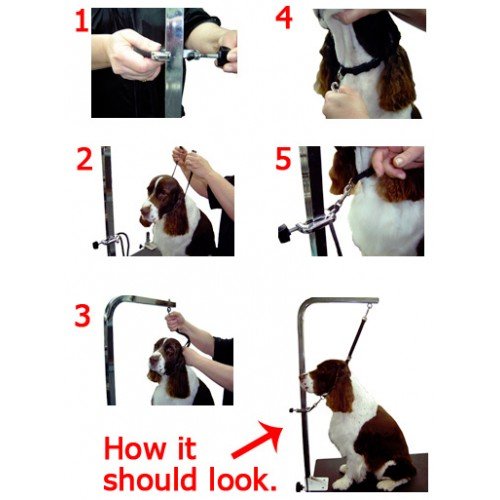 Groomers Helper® Professional Set with Universal Side Clamps - Ultimate Dog Grooming Tool - Image 4