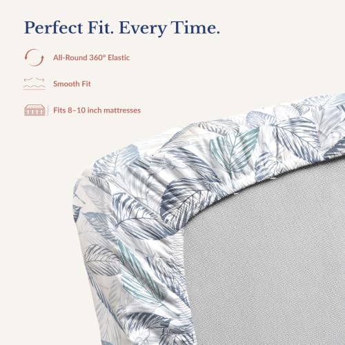 Image of Jaipur Weaves Queen Size Fitted Bedsheet Cotton with Elastic, 100% Pure Cotton Double Bed Fitted Sheet with 2 Pillow Covers, 240 TC, 60x78 Inches up to 8-inch Mattress, Leafy Design - (Tealish Blue)