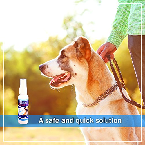 Kericure As Seen On Hsn - Tough Seal Liquid Bandage, 2 Pack, Spray On Wound Care For Dogs, Cats, Pets And Small Animal First Aid, Made In The Usa #TOP5