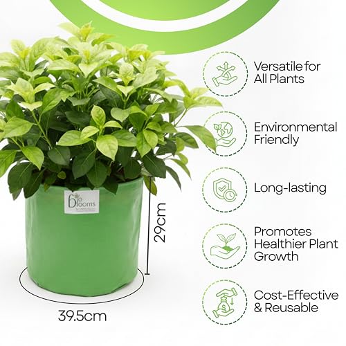 Image of Bio Blooms Round HDPE Plant Grow Bag for Terrace & Kitchen Gardening | 12x12 | 200 GSM Heavy Duty Outdoor Grow Bag | Durable Planter for Vegetables, Flowers & Plants | Green & Orange