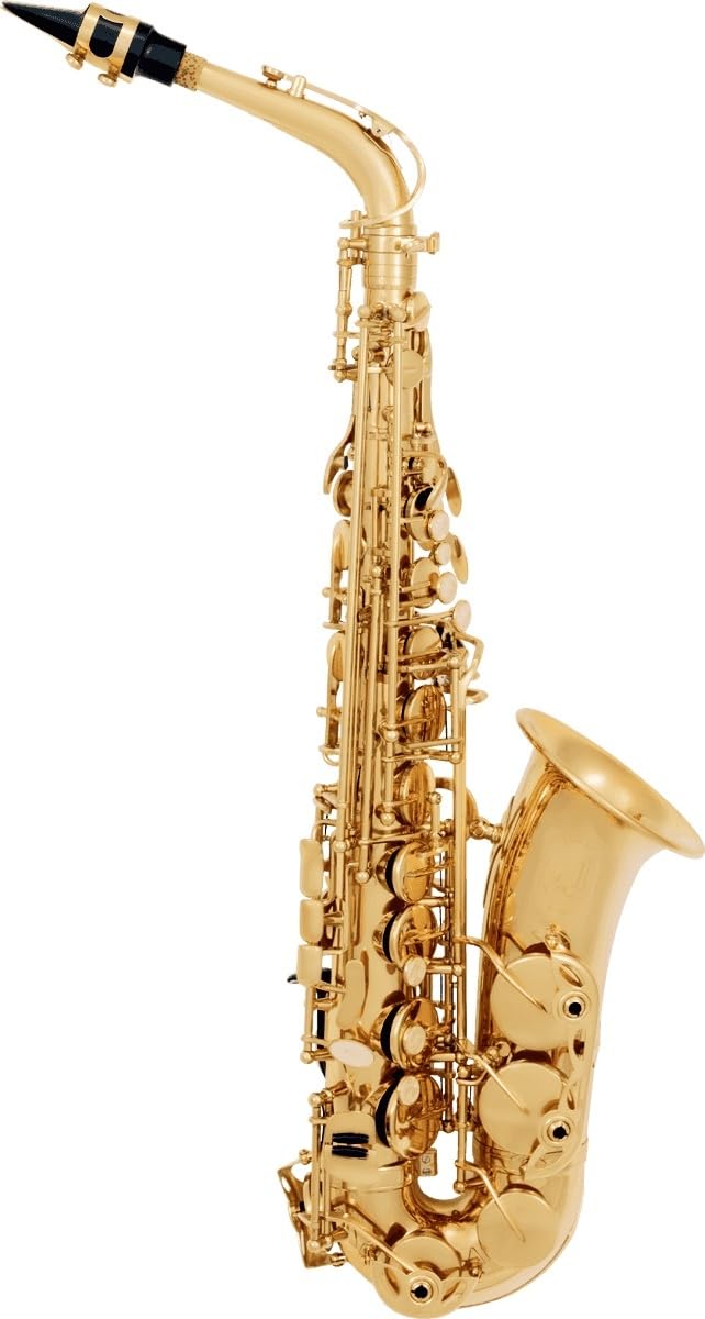 SML Paris VSM A300 Eb Sassofono vecchio laccato