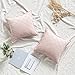 MIULEE Copricuscini Divano Camera da Letto Cuscini Arredo Salotto Decorativi Fodere Casa Moderni Elegante Morbido Resistente in Velluto a Rete Bordi con la Cerniera Invisibile 2 Pezzi 45X45 CM Rosa