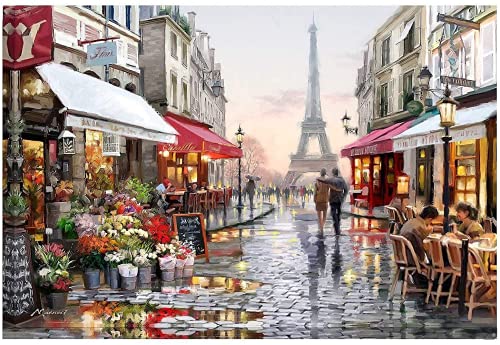 Pintura al óleo por números para adultos, pintado a mano, kit de pintura al óleo con lienzo y accesorios de regalo, decoración del hogar, vista de la calle de París, 40 x 50 cm (sin marco) Cover