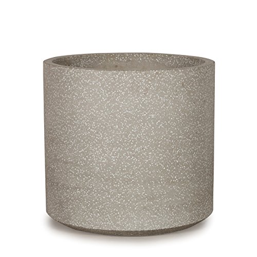 Aؔ ^ ReX Vh M 40 O[e]