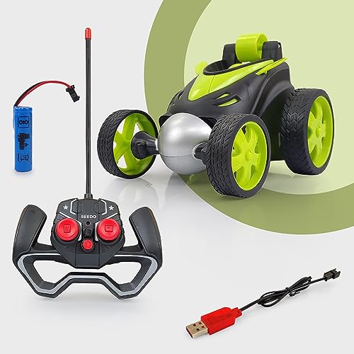 Best Remote Control Car Under 500 - Mini RC Car With Charger