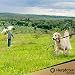 VierPfoten Schleppleine für Hunde, 5m, 10m, 15m, 20m, Robuste Hundeleine, Trainingsleine, Griffpolster, Aufbewahrungsbeutel, stabilem D-Karabiner (10m)