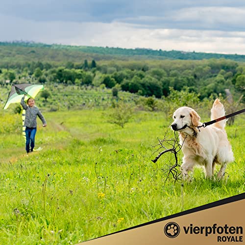 VierPfoten Schleppleine für Hunde, 5m, 10m, 15m, 20m, Robuste Hundeleine, Trainingsleine, Griffpolster, Aufbewahrungsbeutel, stabilem D-Karabiner (5m)