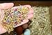 The Chicken Chick Spruce The Coop Herbal Fusion Nest Box Herbs, 5 Oz.