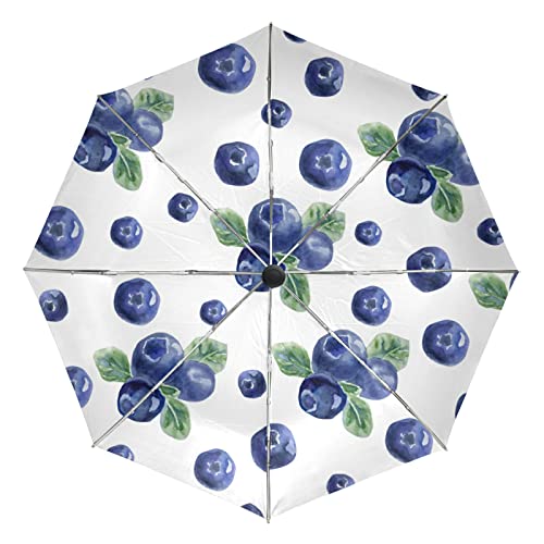 Parapluie de Voyage Aquarelle Raisin Vnurnrn pour Sorties Plage et Ville