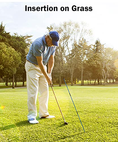 Rhino Valley Golf Alignment Sticks - 2 Pack Collapsible Golf Practice Rods For Aiming, Putting, Full Swing Trainer, Posture Corrector With Clear Tube Case, Portable Golf Training Equipment, Blue #TOP3