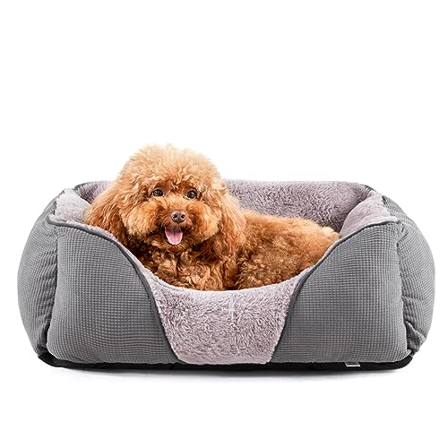 MIXJOY-Dog-Beds-for-Small-Dogs-Cat-Beds-for-Indoor-Cats-Washable-Calming-Dog-Bed-Small-Size-Dog-Soft-Rectangle-Pet-Beds-Sofa-Cuddler-Orthopedic-Cozy-Puppy-Bed-Anti-Slip-Bottom20x19in-Grey