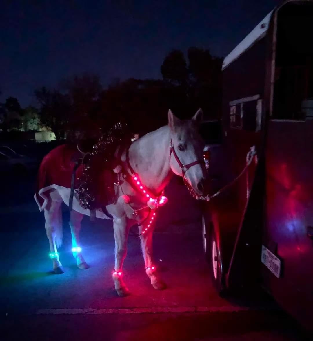 4pcs LED Horse Leg Band, 7 Colors in 1 Light up Horse Tack, USB Rechargeable LED Horse Light - Added Visibility & Safety for Night Horse Riding: Draft