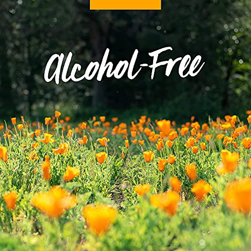 Herb Pharm Lung Expectorant Liquid Herbal Formula To Support Respiratory Immune Response - 1 Ounce (Pack Of 1) #TOP6