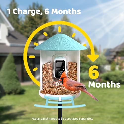Image of NETVUE by Birdfy AI Smart Bird Feeder with Camera, AI Auto Capture Each Bird Come & Identify 6000+ Bird Species, Cloud Storage, Birdwatching On Live, Ideal Present for Bird Lover