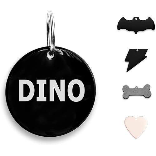 Premium 316 Surgical Grade Stainless Steel Personalized Dog & Cat ID Tags - Fun Shapes for Sporty Outdoor Pets - Custom Engraved Name & Info for Collar Accessories & Pet Necklaces Round