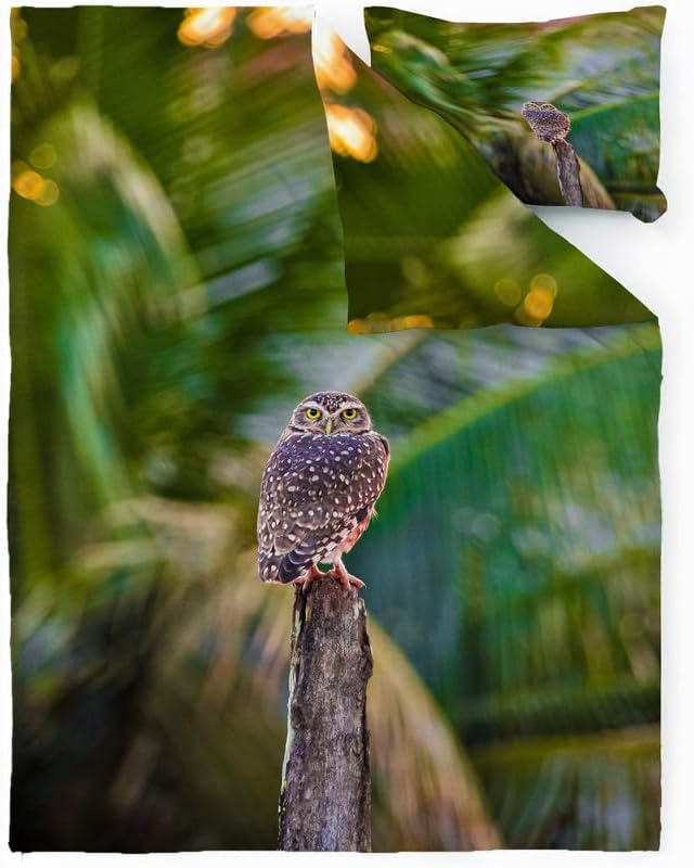 Miniatura 2 de Small Animals Duvet Cover Full Owl Print Bedding Sets Full Soft Microfiber Comforter Cover and 2 Pillow Shams 20"X26", Bed Set Duvet Covers with