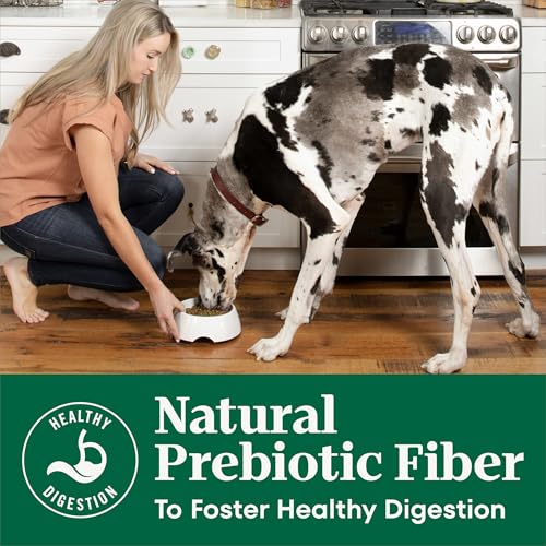 Image of Nutro Natural Choice Adult Dry Dog Food, Chicken & Brown Rice Recipe, 36 lb