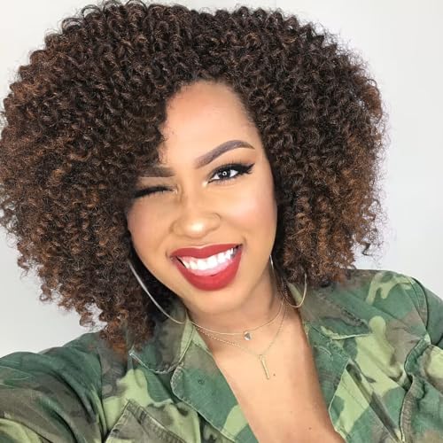 WIGER 6 inches Short Kinky Curly Wigs Ombre Brown Side Part Twist Out Wigs Afro Curly Wigs for Black Women Synthetic Wigs for Women Daily Use(1B/30) (