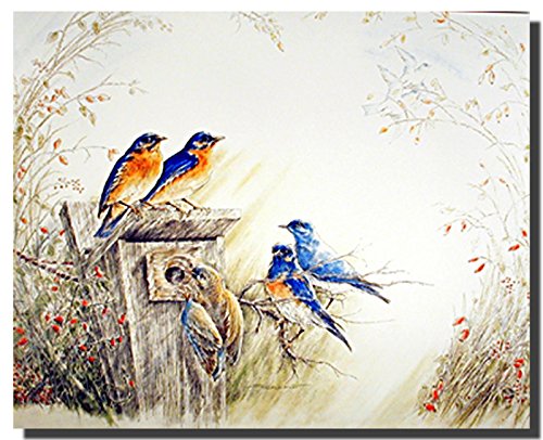 Gold Finches Birds Bluebirds Birdhouse 8X10 4 Set Wall Decor Art Print Posters #TOP4