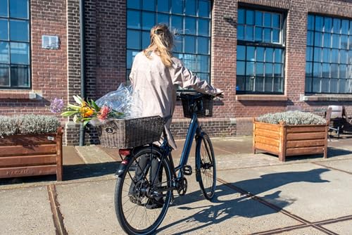 FastRider Fahrradkorb Hinten aus Plastikgeflecht 30L, Hundekorb Fahrrad Hinten für Gepäckträger, Hinterradkorb Inklusive Montage, Wetterbeständig - Braun