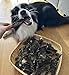 Lucze Rinderpansen getrocknet 1kg, 100% natürliche Pansen, Hundesnacks getreidefrei, proteinreich & aromatisch, Kauartikel zur Zahnpflege für kleine, mittlere & große Hunde