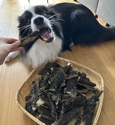 Lucze Rinderpansen getrocknet 1kg, 100% natürliche Pansen, Hundesnacks getreidefrei, proteinreich & aromatisch, Kauartikel zur Zahnpflege für kleine, mittlere & große Hunde