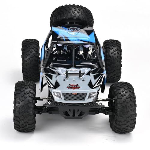 Image of TOUCAN RC HOBBY 1 /10 RTR RH1045 Radio Control Desert Truck 4 * 4 Remote Control Off Road Vehicle 3660 Brushless Motor 45A ESC 3KG Servo for Age 14+