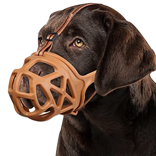Top 10 Best Muzzle For Golden Retriever Reviews & Buying Guide Katynel