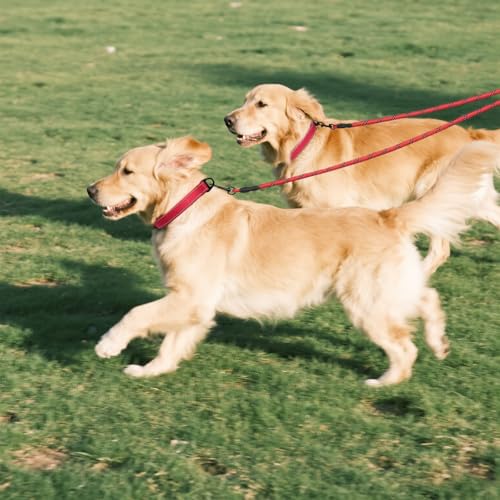Taglory Doppelte Leinen/Hundeleine Doppelleine für 2 Hunde/Keine Verwicklung Reflektierend Kletterseil/Verstellbar Splitterleinen/75cm, ROT