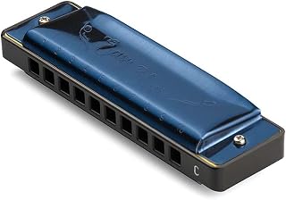 Gaita de Boca Hering Diatônica Easy Blues C Dó Azul AZ4420C