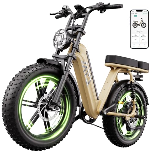 TST Electric Bike for Adults 1500W Peak 20" Fat Tire
