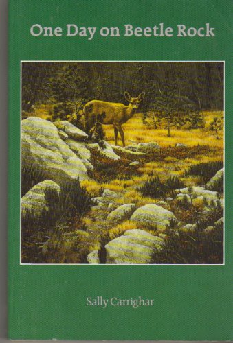 One Day on Beetle Rock 0803263015 Book Cover