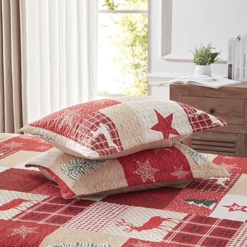 LEAONME Christmas Quilt Set 3-Piece Full Queen Size Bedspread Coverlet 90''x98'' Lightweight Patchwork Oversized Bedding Set with 2 Pillow Shams for All Seasons
