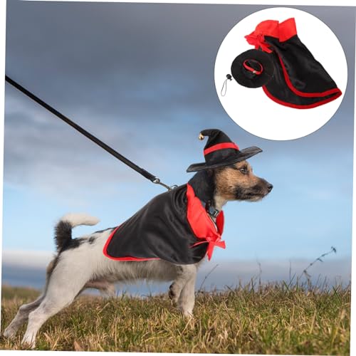Disfraz Halloween para perro alas murciélago y diadema miniatura 5